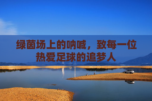 绿茵场上的呐喊,致每一位热爱足球的追梦人