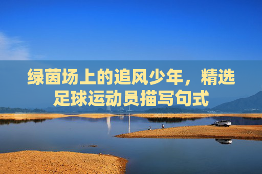 绿茵场上的追风少年,精选足球运动员描写句式