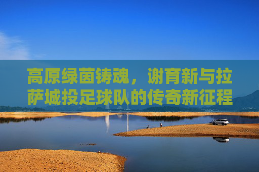 高原绿茵铸魂,谢育新与拉萨城投足球队的传奇新征程