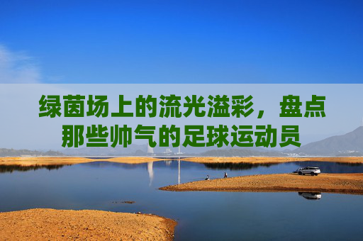 绿茵场上的流光溢彩,盘点那些帅气的足球运动员