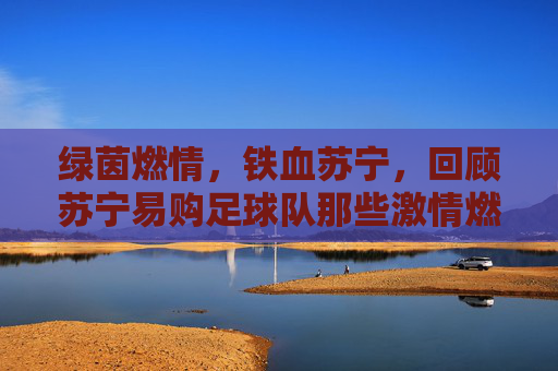 绿茵燃情,铁血苏宁,回顾苏宁易购足球队那些激情燃烧的赛事岁月