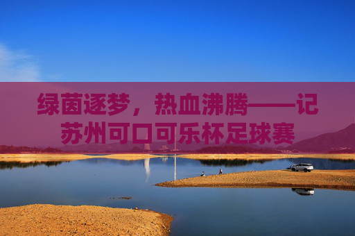 绿茵逐梦，热血沸腾——记苏州可口可乐杯足球赛