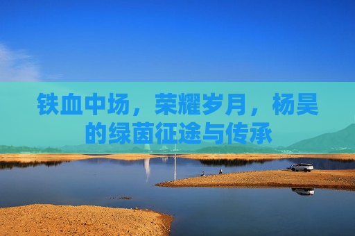 铁血中场,荣耀岁月,杨昊的绿茵征途与传承