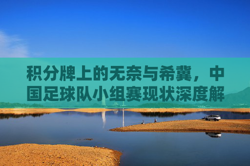 积分牌上的无奈与希冀，中国足球队小组赛现状深度解析