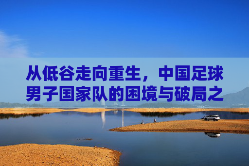 从低谷走向重生,中国足球男子国家队的困境与破局之路