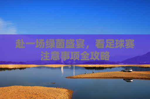 赴一场绿茵盛宴，看足球赛注意事项全攻略
