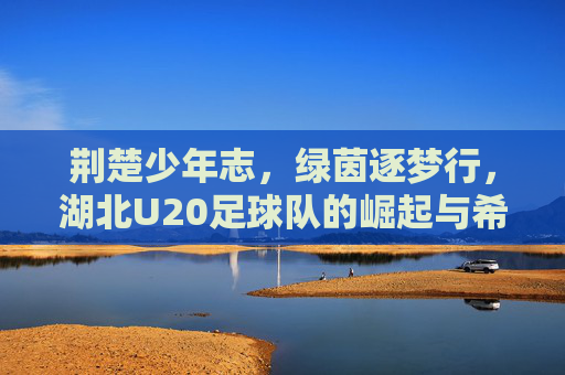 荆楚少年志,绿茵逐梦行,湖北U20足球队的崛起与希望