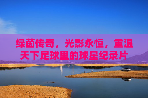 绿茵传奇,光影永恒,重温天下足球里的球星纪录片