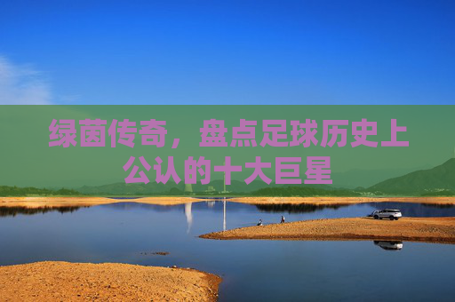 绿茵传奇,盘点足球历史上公认的十大巨星
