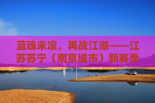 蓝魂未凉,再战江湖——江苏苏宁(南京城市)新赛季赛程前瞻