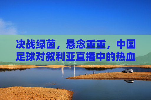 决战绿茵,悬念重重,中国足球对叙利亚直播中的热血与守望