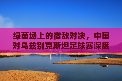 绿茵场上的宿敌对决,中国对乌兹别克斯坦足球赛深度解析