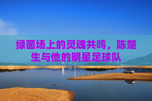 绿茵场上的灵魂共鸣,陈楚生与他的明星足球队