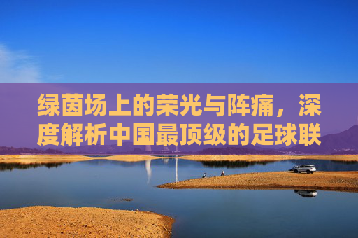 绿茵场上的荣光与阵痛，深度解析中国最顶级的足球联赛