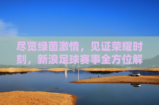 尽览绿茵激情,见证荣耀时刻,新浪足球赛事全方位解读