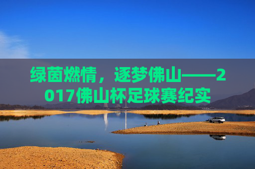 绿茵燃情,逐梦佛山——2017佛山杯足球赛纪实