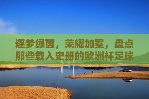 逐梦绿茵,荣耀加冕,盘点那些载入史册的欧洲杯足球队