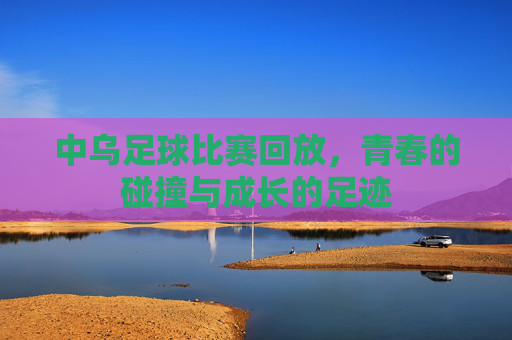 中乌足球比赛回放,青春的碰撞与成长的足迹