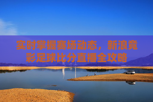 实时掌握赛场动态,新浪竟彩足球比分直播全攻略