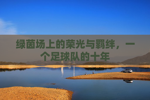 绿茵场上的荣光与羁绊,一个足球队的十年