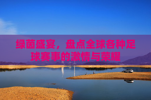 绿茵盛宴,盘点全球各种足球赛事的激情与荣耀