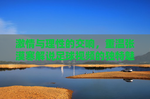 激情与理性的交响,重温张漠寒解说足球视频的独特魅力