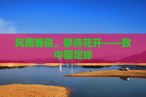 风雨兼程,静待花开——致中国足球