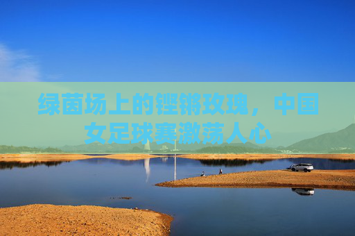 绿茵场上的铿锵玫瑰,中国女足球赛激荡人心