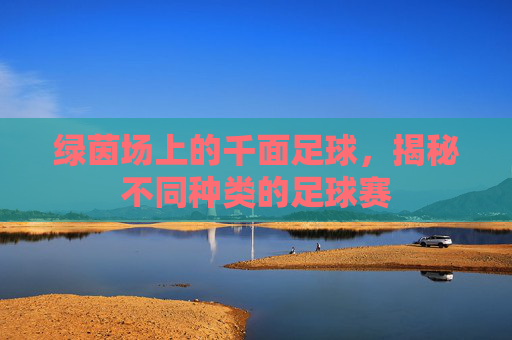 绿茵场上的千面足球,揭秘不同种类的足球赛