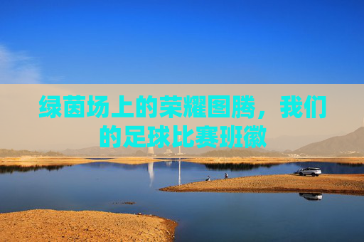 绿茵场上的荣耀图腾,我们的足球比赛班徽