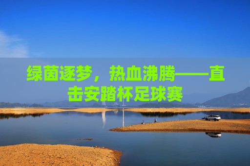 绿茵逐梦,热血沸腾——直击安踏杯足球赛