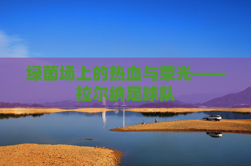 绿茵场上的热血与荣光——拉尔纳足球队