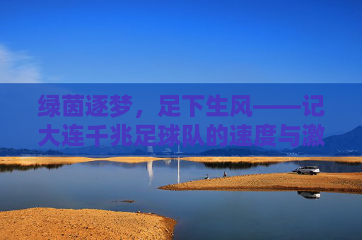 绿茵逐梦,足下生风——记大连千兆足球队的速度与激情