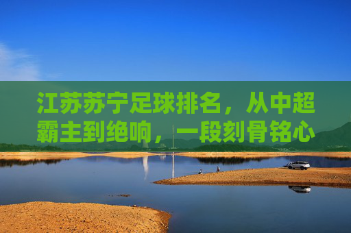 江苏苏宁足球排名,从中超霸主到绝响,一段刻骨铭心的排名记忆