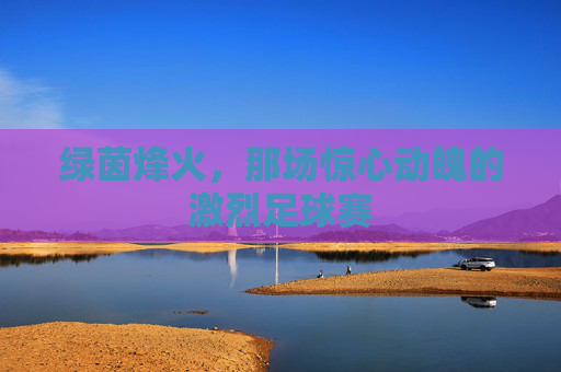 绿茵烽火，那场惊心动魄的激烈足球赛