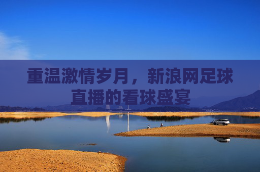 重温激情岁月,新浪网足球直播的看球盛宴
