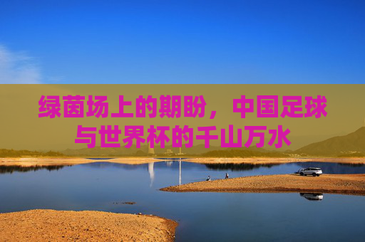 绿茵场上的期盼,中国足球与世界杯的千山万水
