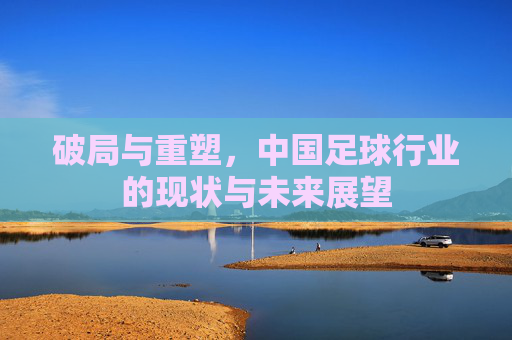 破局与重塑,中国足球行业的现状与未来展望