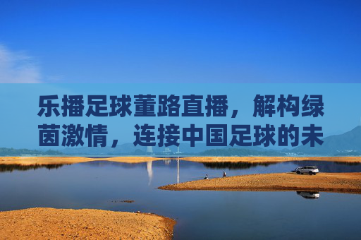 乐播足球董路直播,解构绿茵激情,连接中国足球的未来