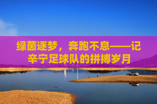 绿茵逐梦,奔跑不息——记辛宁足球队的拼搏岁月