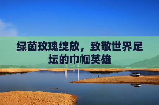 绿茵玫瑰绽放,致敬世界足坛的巾帼英雄