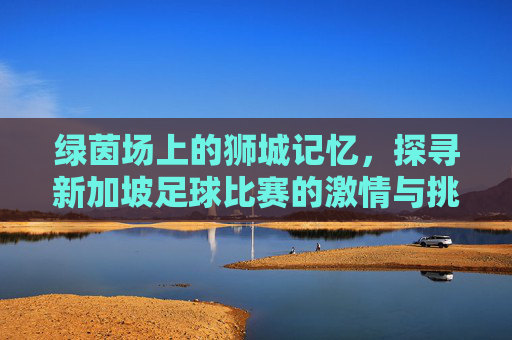 绿茵场上的狮城记忆,探寻新加坡足球比赛的激情与挑战