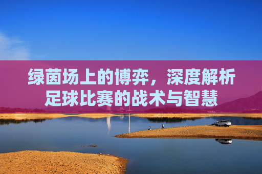 绿茵场上的博弈,深度解析足球比赛的战术与智慧