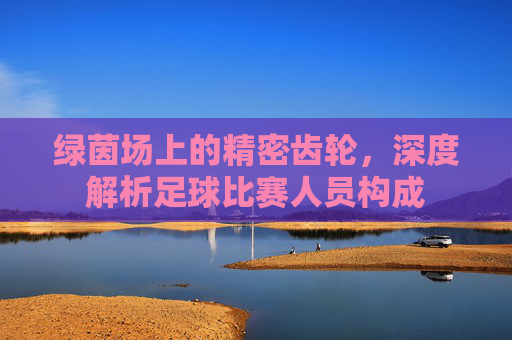 绿茵场上的精密齿轮,深度解析足球比赛人员构成