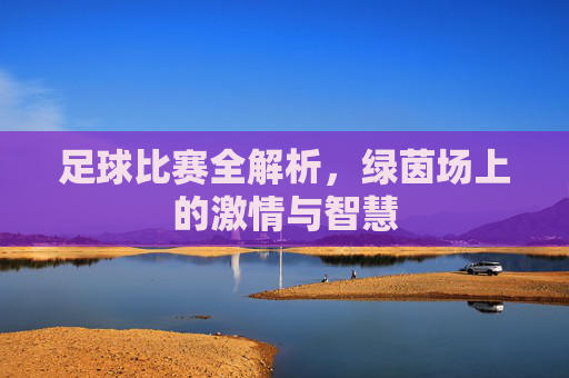 足球比赛全解析,绿茵场上的激情与智慧