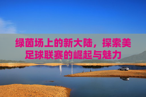 绿茵场上的新大陆,探索美足球联赛的崛起与魅力