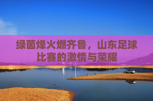 绿茵烽火燃齐鲁,山东足球比赛的激情与荣耀