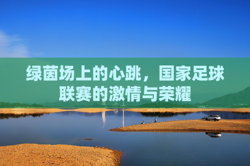 绿茵场上的心跳,国家足球联赛的激情与荣耀
