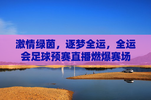 激情绿茵,逐梦全运,全运会足球预赛直播燃爆赛场