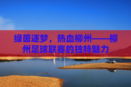 绿茵逐梦,热血柳州——柳州足球联赛的独特魅力